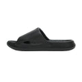 Dusky Terns - Black
