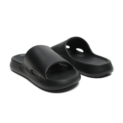 Dusky Terns - Black